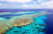 Image: The Great Barrier Reef experiences a catastrophic die-off following