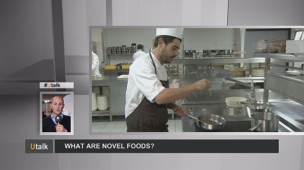 Insetos e plantas: Os novos alimentos são seguros? Insetos e plantas: Os novos alimentos são seguros?