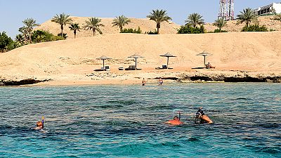 Business Line: a blow to Egypt's tourism, and Hedy Lamarr's legacy Business Line: a blow to Egypt's tourism, and Hedy Lamarr's legacy
