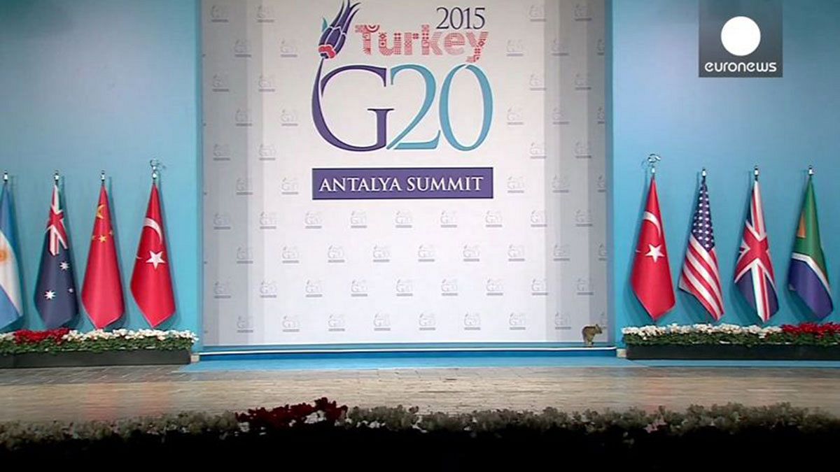 What if the G20 was run by cats?