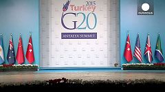 What if the G20 was run by cats?