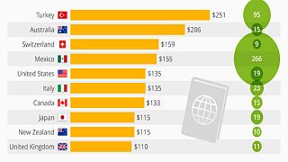 Türk pasaportu dünyanın en pahalısı