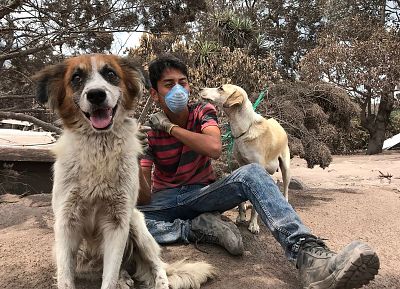 This is Jose. He found these stray dogs while searching for his cousin who lives in the town of El Rodeo, Guatemala for his cousin who was 9mo pregnant and due this week - same week as the Volcan De Fuego eruptions...his search continues.
