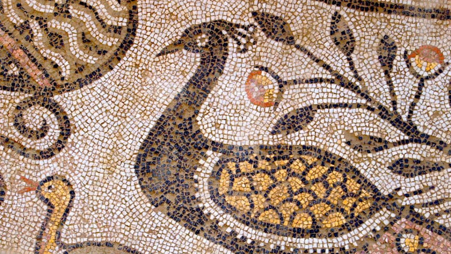 Glimpses of an ancient city through its remarkable mosaics