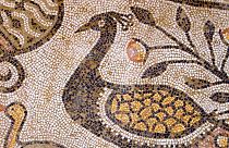 Glimpses of an ancient city through its remarkable mosaics
