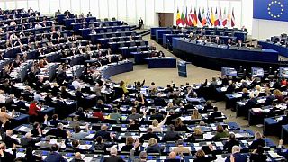 MEPs urge tougher stance on jihadists