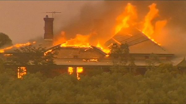 Dos fallecidos, 2000 animales muertos, 16 casas destruidas por los incendios en Australia Dos fallecidos, 2000 animales muertos, 16 casas destruidas por los incendios en Australia