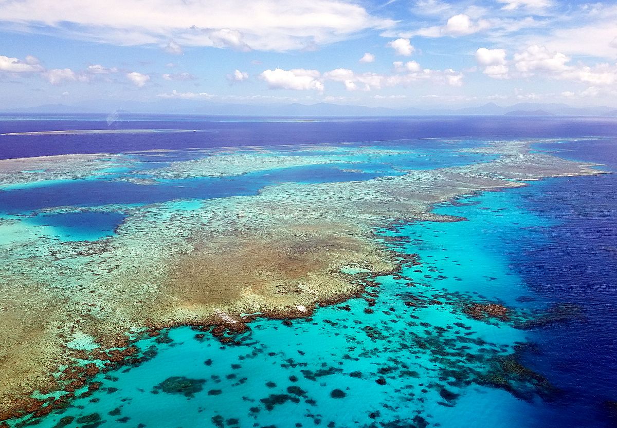 In World Without Ocean Reefs, Flood And Storm Damage Would Soar 