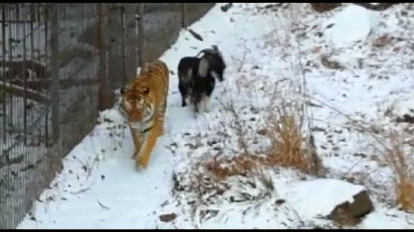 An unlikely friendship An unlikely friendship