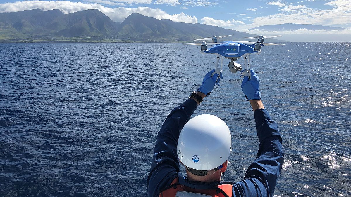 Image: A DJI Phantom 4 is launched off a research vessel