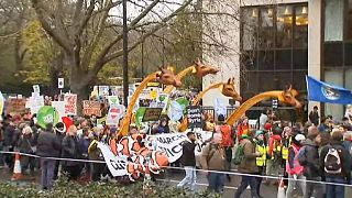 برگزاری تظاهرات در حفاظت از محیط زیست در شهرهای مختلف اروپا