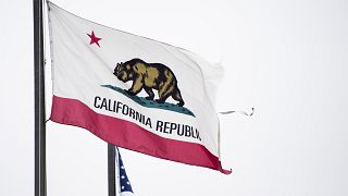 Image: California State Flag