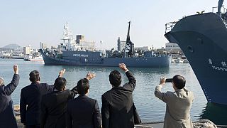 Japan's whaling fleet sets sail despite UN condemnation