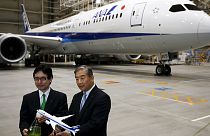 All Nippon Airways will "bio" fliegen