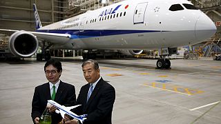 All Nippon Airways will "bio" fliegen