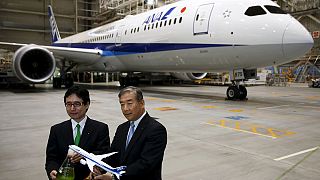 Environnement : les algues donnent des ailes à All Nippon Airways