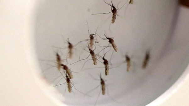 A klímaváltozás negyedmillió halálesetet okozhat 15 év alatt A klímaváltozás negyedmillió halálesetet okozhat 15 év alatt