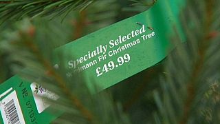 Oil and currency gloom brings Christmas cheer... cheaper trees!