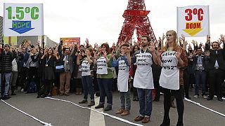 EU und AKP-Staaten schmieden Allianz auf Pariser Klimagipfel