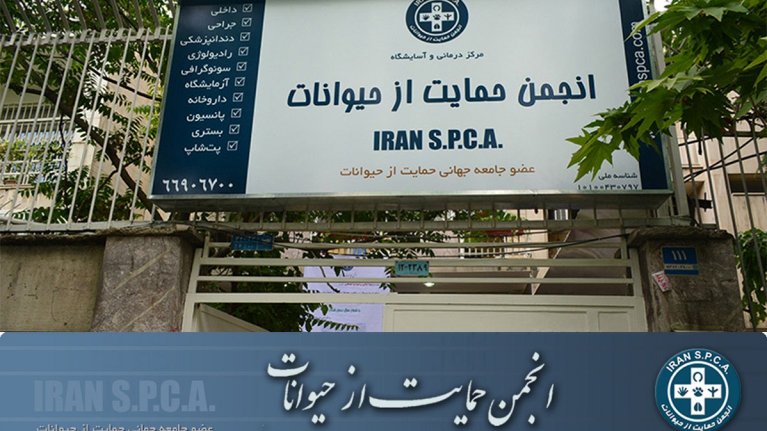 معصومه ابتکار: از همکاری سازمان های مردم نهاد در دفاع از حقوق حیوانات استقبال می کنیم