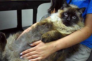 TODAY, product courtesy of merchant site