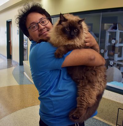 Nicholas Camacho, an animal care assistant, cuddles Chubbs in his arms.
