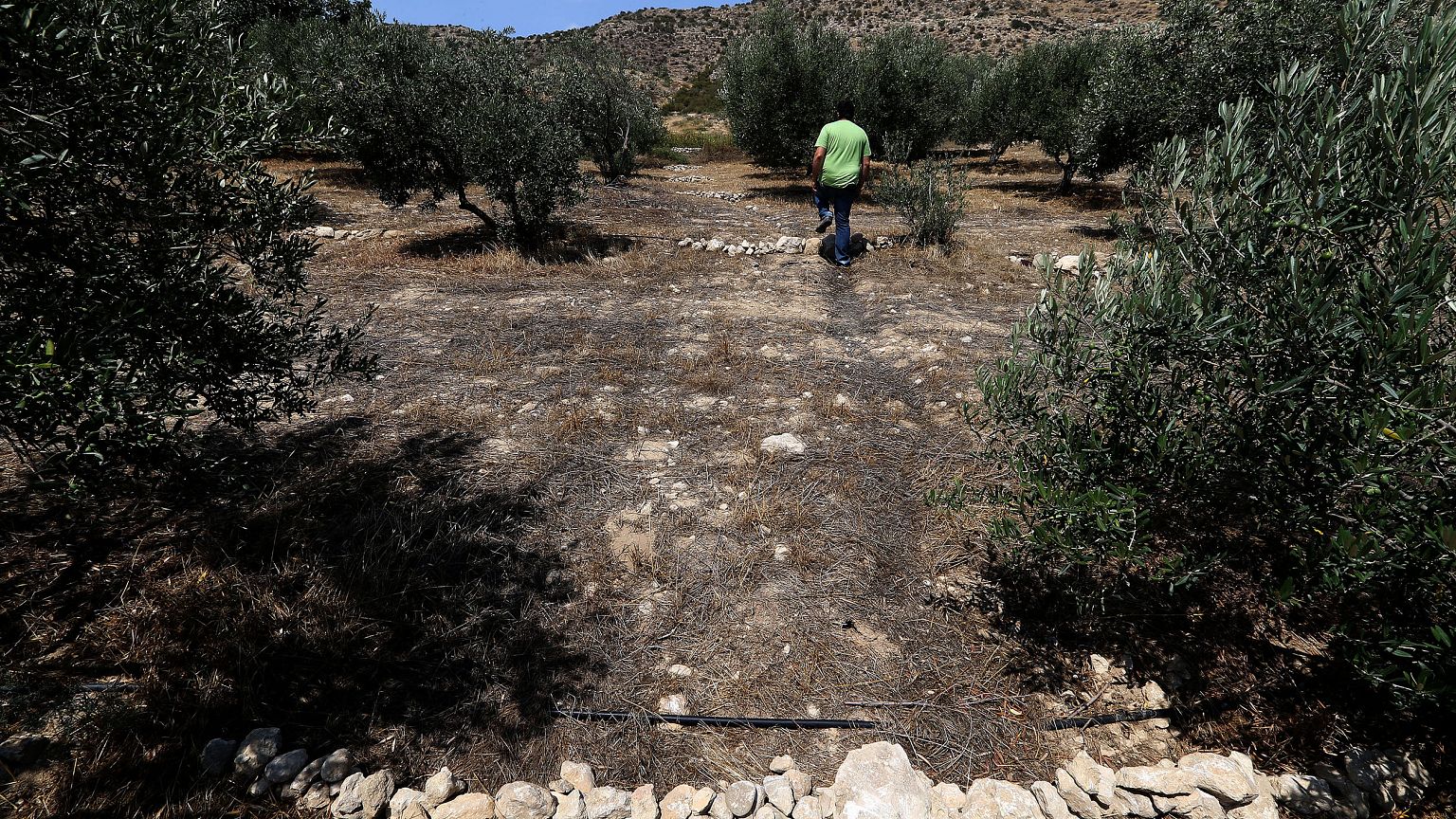 Image: Cyprus drought