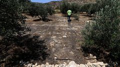 Image: Cyprus drought