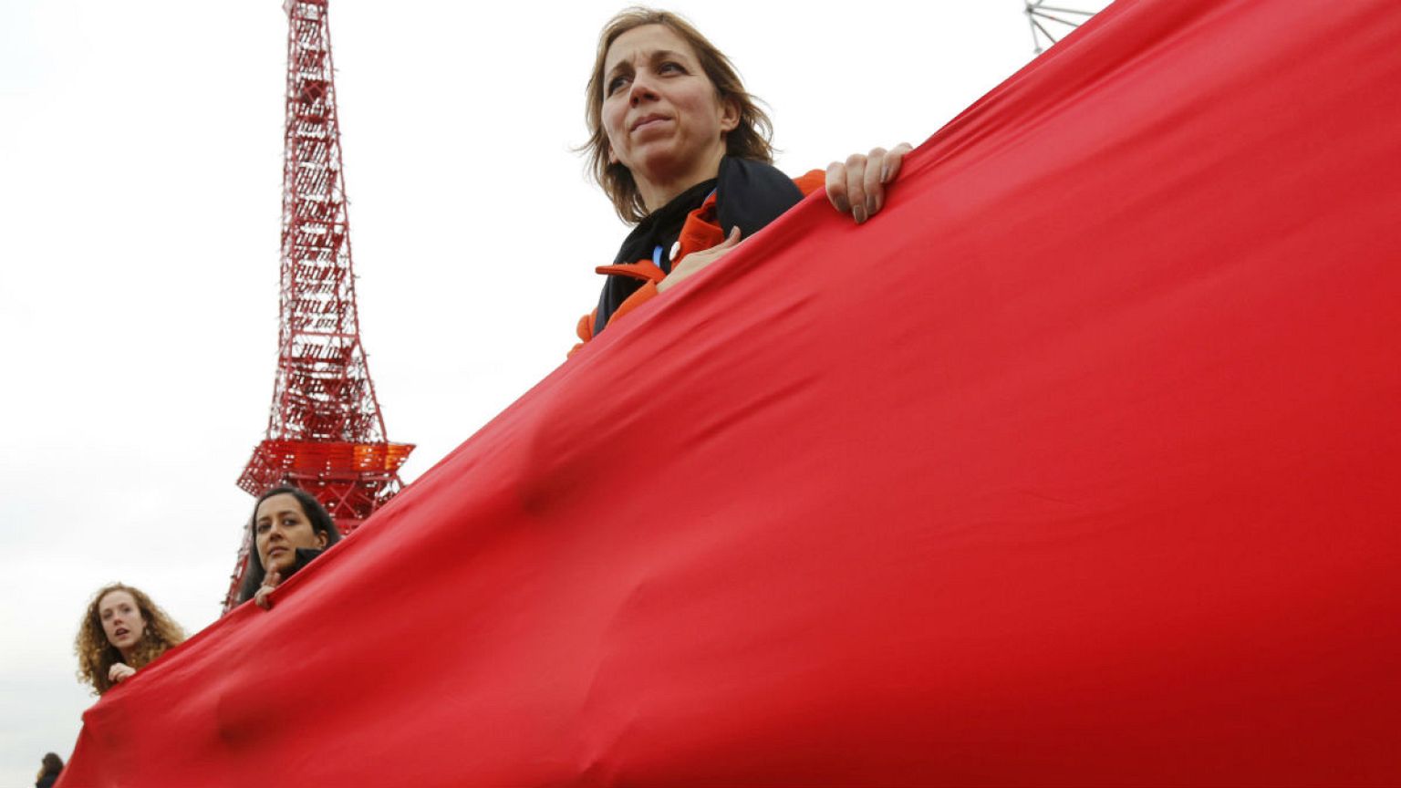What do green NGOs make of COP21 climate deal?