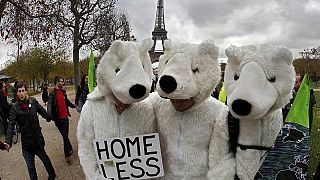 Παρίσι: οι φιλόδοξοι στόχοι για την διάσωση του πλανήτη