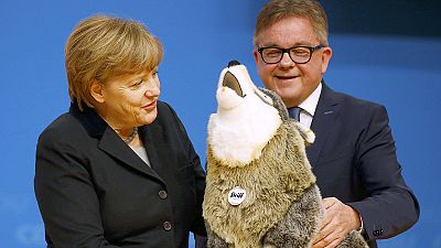 Merkel ve kurt peluşu