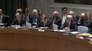UN Security Council adopts resolution for Syrian peace process