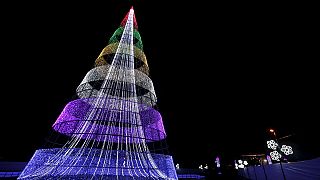 قصة شجرة عيد الميلاد... وصور لاغرب ما في العالم منها