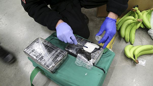 Saisie record de cocaïne en Pologne Saisie record de cocaïne en Pologne