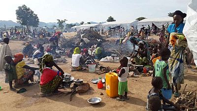 Elections offer hope for CAR refugees in Cameroon