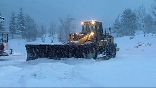 Unusual weather causes heavy snowfalls and blossoming flowers