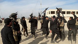 Иракские военные проводят зачистку Рамади