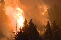 Tűzvész és rügyező fák az olasz Alpokban