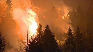 Vasto incendio sull'Altopiano di Asiago