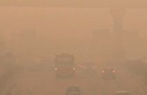 Yeni Delhi'deki "zehirleyen" hava kirliliği harekete geçirdi