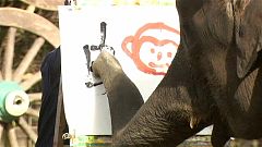 Der Elefant im Künstleratelier