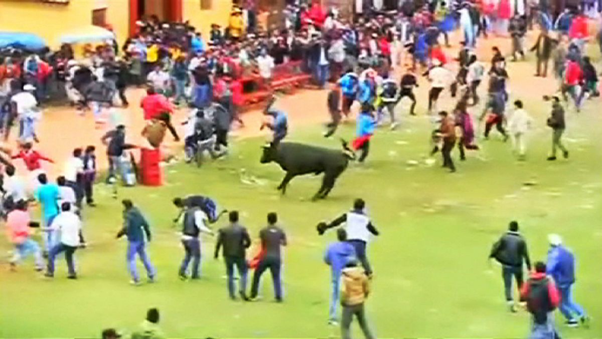 Перу: быки набросились на толпу зевак