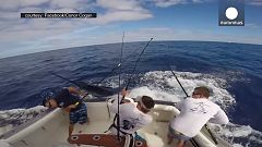 Australien: Fischer beinahe von Speerfisch aufgespießt