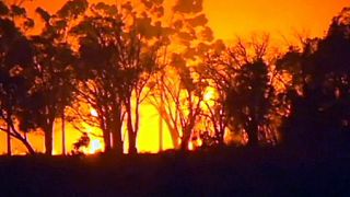 Le bush australien en feu