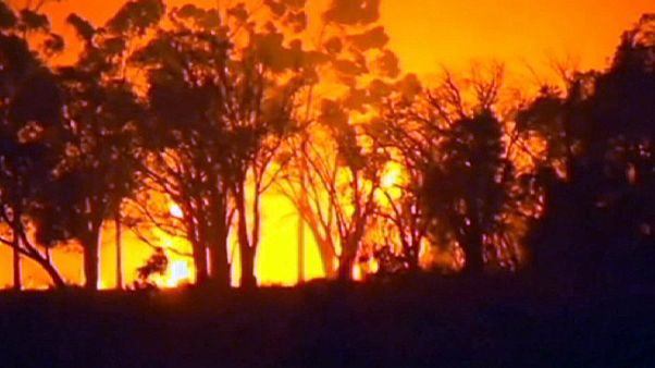 Tres desaparecidos y 95 viviendas destruidas por un incendio en el suroeste de Australia Tres desaparecidos y 95 viviendas destruidas por un incendio en el suroeste de Australia