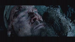 "The Revenant" - Leonardo DiCaprio als Rächer in der Wildnis