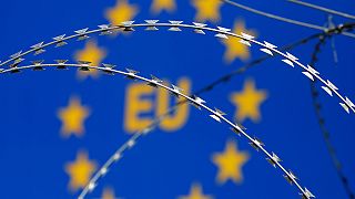 La protección de las fronteras marca el inicio del año en la UE