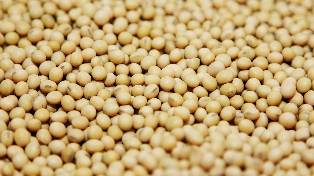 Image: A bushel of soybeans