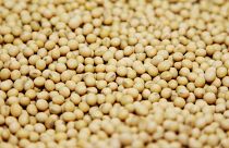 Image: A bushel of soybeans