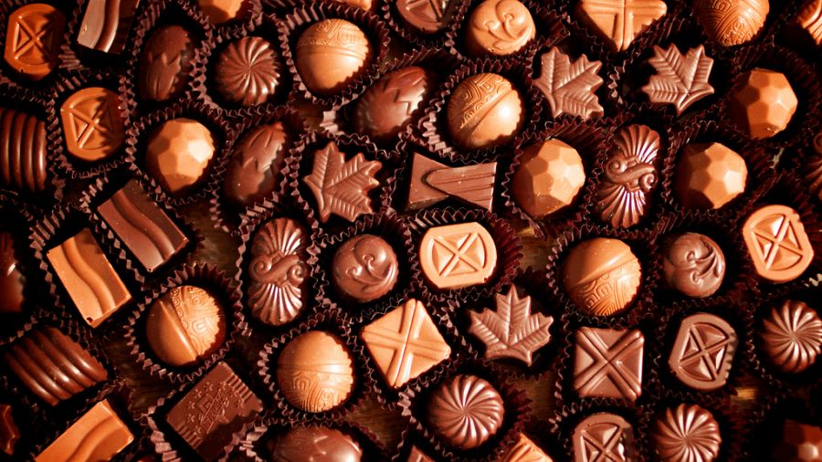 La fabrication du chocolat montrée à des enfants du Caire